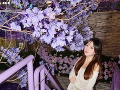-龙湖南京江北天街