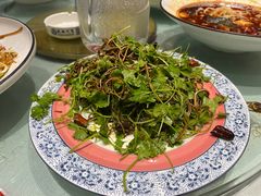 -陈家老院子(高新店)