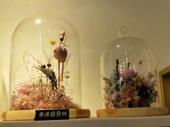 -花未央花店·WEYOUNG