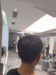 -天使之手
