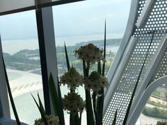 -深圳湾木棉花酒店