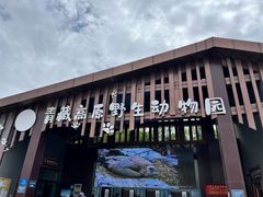 -青藏高原野生动物园