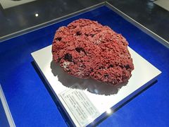 -贝壳王国博物馆