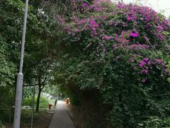 -南丫岛