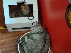 -H立方实景剧情密室(天河旗舰店)