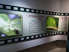 -上海昆虫博物馆