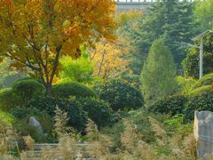 -济南国际园博园