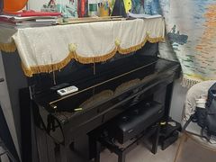 -缪斯琴行英皇小提琴.钢琴.吉他(张江店)