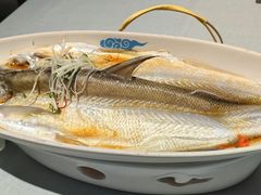 -翡翠江南(国贸商城店)