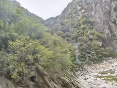 -王顺山国家森林公园