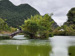 -靖西鹅泉风景区