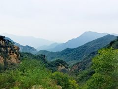 -大岭沟猕猴桃谷风景区