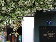 -海宁市观音寺