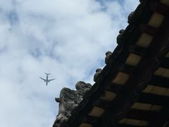 -华林禅寺