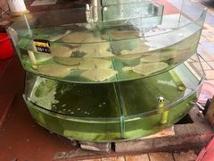 -四海鲜渔家菜(黄金海岸店)
