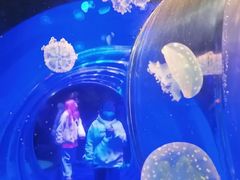 -海合安成都极地海洋公园