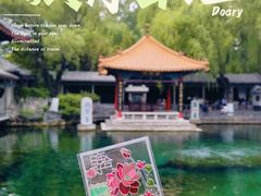 -趵突泉景区