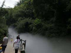 -川西竹海景区