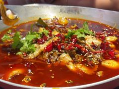 -周姑娘不等味·牛羊肉火锅·螃蟹罗氏虾·烤鱼烤串(高邮店)