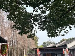 -乌镇东栅景区