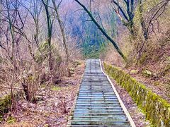 -西安祥峪森林公园