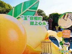 -东山风景区(洞庭东山)
