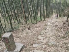 -莫干山风景区