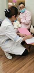 -东方幸福国际母婴月子会所
