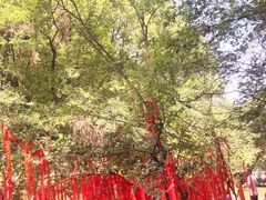 -伏羲大峡谷