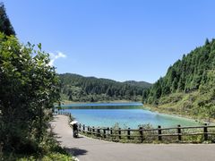 -武陵山森林公园