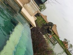 -苏州湾王焰温泉度假酒店