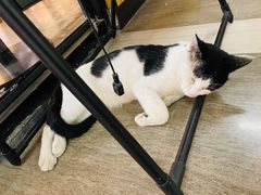 -JAMROCK 乐啡意咖啡