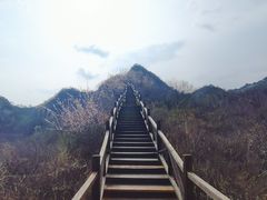 -大岭沟猕猴桃谷风景区