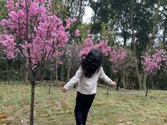-南山植物园