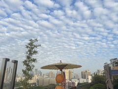-小茶闲舍·观景商务茶馆(广州塔店)