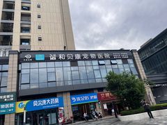 -谐和贝康宠物医院24小时·宠保定点(急重症转诊中心)
