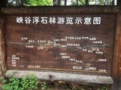 -峡谷浮石林景区