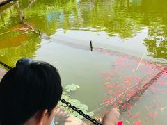 -无锡动物园·太湖欢乐园