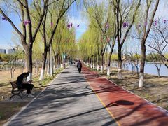 -大兴滨河森林公园