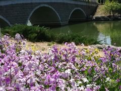 -大兴滨河森林公园