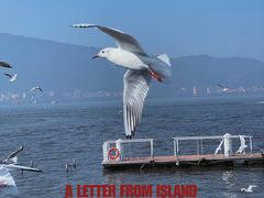 -海埂大坝
