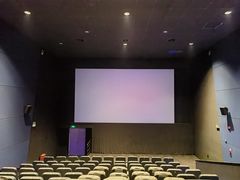 -中影国际影城(西溪印象城CINITYLED店)