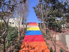 -桃源山庄·水蜜桃采摘·柴火鸡·烧烤团建(龙泉山店)