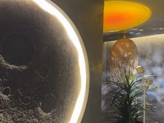 -施奈儿.洗头頭療.按摩SPA.采耳(上梅林店)