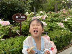 -洛阳市牡丹公园