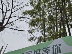 -张鸟园农家乐(张鸟园店)
