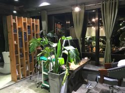 -V-STAR威斯达•高级私人定制