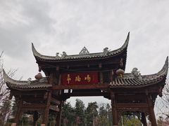 -秀丽东方