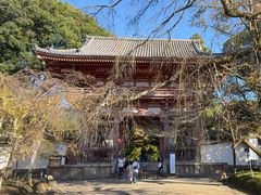 -醍醐寺
