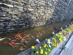 iphone_upload_pic-老洋房花园饭店(绍兴路店)